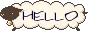 hello sheep
