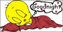 Goodnight Tweety