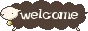 welcome sheep