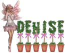 denise