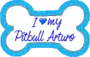 I Love my Pitbull Arturo