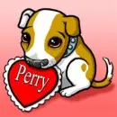 Perry's dog