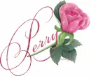 Pink Rose - Perry
