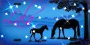 Horse & Mare Tag~ Lala