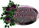 Good Morning, purple roses and butterflys