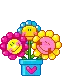 Rainbow flowers
