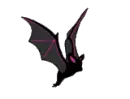 Pink and Black winged Bat