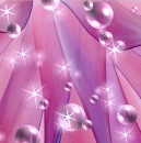 pink bubbles