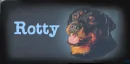 Rottweiler Dog~ Rotty