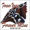 rebel flag