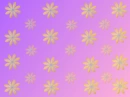 i love flowers