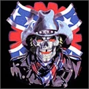 skull rebel flag 