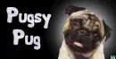 Pug Dog~ Pugsy Pug