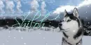 Husky Dog (with snow falling)~Shiloh