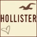 Aero Hollister AE and AF