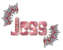 Diamond Pierced Text - Jess