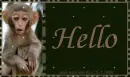 Hello