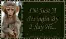 Swingin By 2 Say Hi