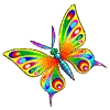 Pretty Butterfly