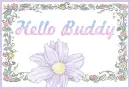 Hello Buddy