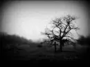 dark!