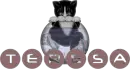 Teresa cat