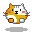 floating kitty