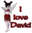I love David