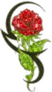 the sparkly red rose