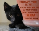 FRIDAY THE 13TH