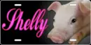Shelly