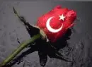 turka gÃ¼l