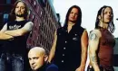 Disturbed