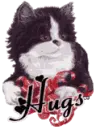 HUGS