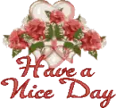 Have a Nice Day