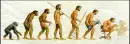 Â¿evoluciÃ³n?