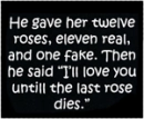12 Roses