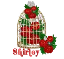 Shirley
