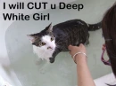 lol