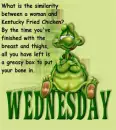Turle - Wednesday
