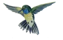 colibrÃ­ 2