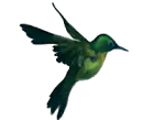 colibrÃ­ 3