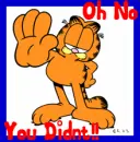 Garfield~ Oh NO You Didn't!