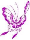 purplish color butterfly