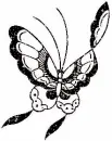 black butterfly