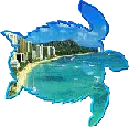 tortuga mar