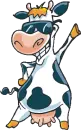 Moo Moo Cow