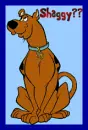 Scooby Doo Animated~ Shaggy??