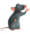 Ratatouille Little Chef (Remy) Animated