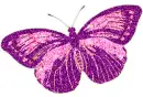 pink and purple butterfly